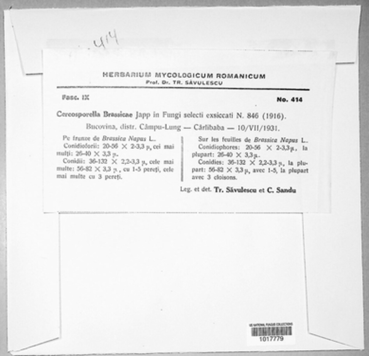 Neopseudocercosporella capsellae image